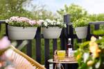 vibia campana easy hanger small seidenweiß